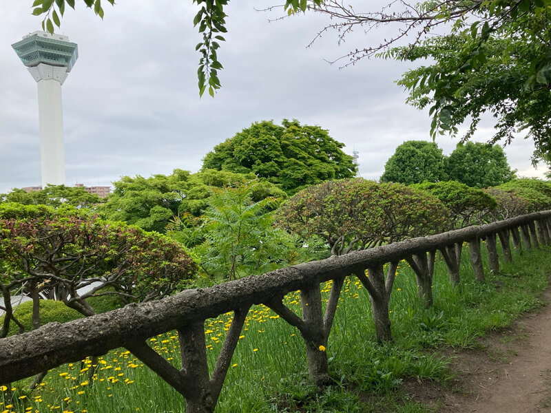 五稜郭公園から見る五稜郭タワー