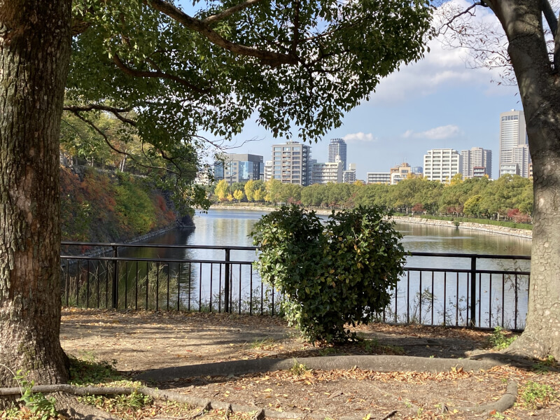 ハートの形の植木